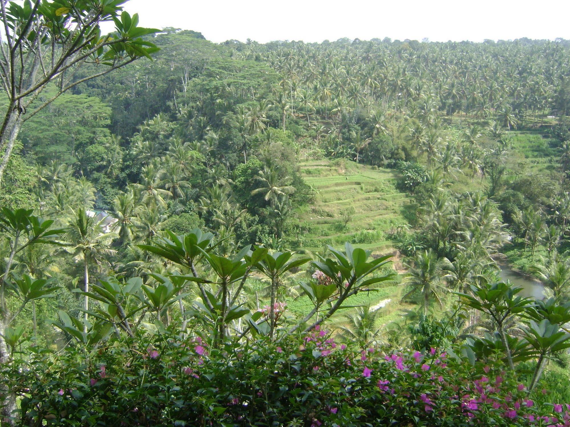 فندق Taman Bebek Bali أوبود المظهر الخارجي الصورة