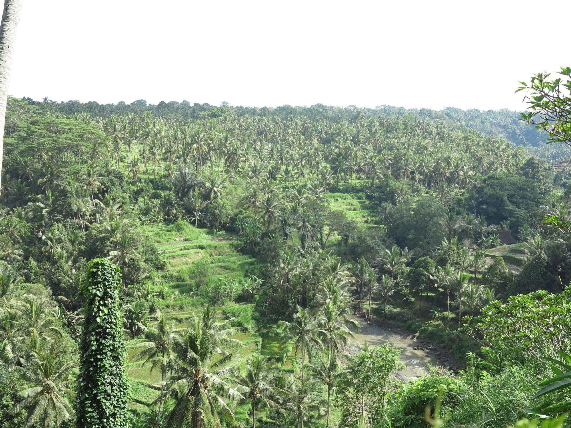 فندق Taman Bebek Bali أوبود المظهر الخارجي الصورة